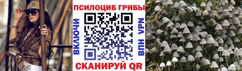 как найти   Рославль  Псилоцибиновые грибы мухоморы 